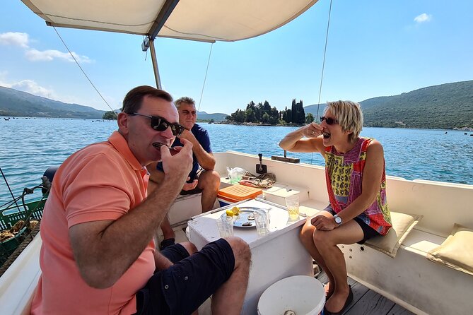 Private Oyster and Wine Tasting Day Trip along Peljesac - What the $297.85 price really covers