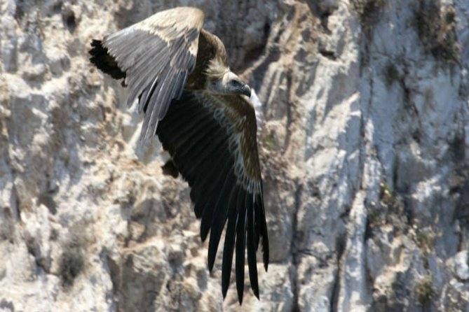 Private Plavnik Island Half-Day boat trip with capt. Bobo - What the $336.07 group price really means