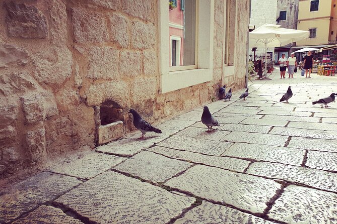 Private Sibenik Walking Historical Morning or Evening Tour - Starting at the old market square