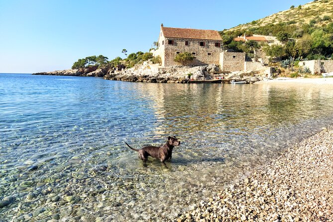Private Speed Boat Tour of Hvar South Shore & Pakleni islands - The captains are part of the value
