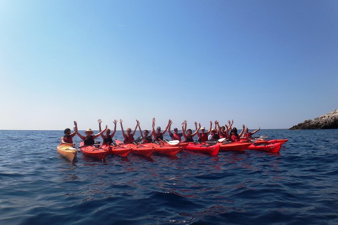 Private tour: Sea Kayaking & Snorkeling to Green Cave on Sipan island from Lopud - What the private setup is worth