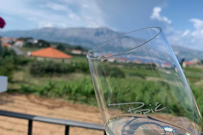 Private Wine and Gin Tour Around the Island of Korcula - Lumbarda, vineyards, and the rare Grk grape