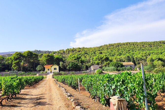 Private Wine and Gin Tour Around the Island of Korcula - Who will enjoy this tour most
