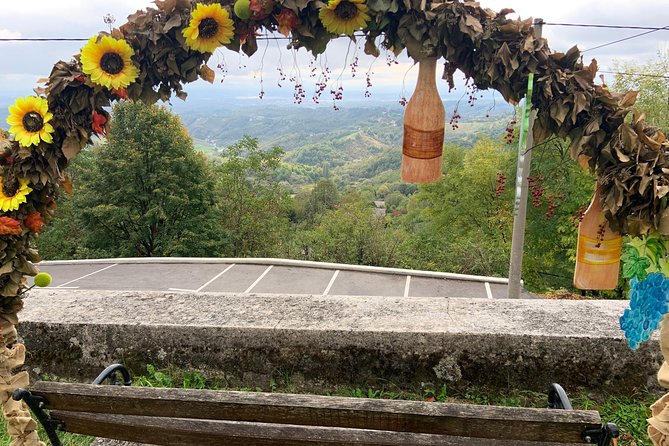 Private Wine Road Day Tour from Zagreb - Samobor’s old streets, cake, and Bermet
