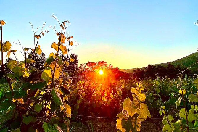 Private Wine Tasting Under The Stars With Sunset Panorama - Four wines and four liqueurs
