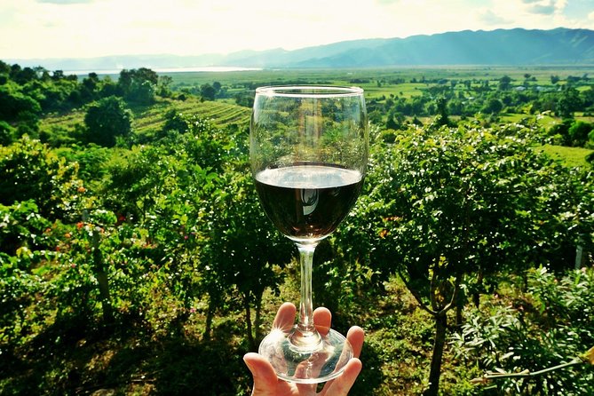 Private Wine Tour from Zagreb: Two Local Wineries & Samobor - Key points to know before you book