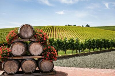 Private Wine Tour from Zagreb: Two Local Wineries & Samobor