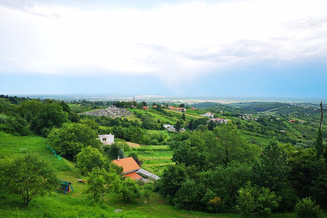 Private Wine Tour from Zagreb: Two Local Wineries & Samobor - Food that makes this more than a tasting