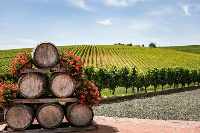 Private Wine Tour from Zagreb: Two Local Wineries & Samobor - Samobor’s old square and sweet local traditions