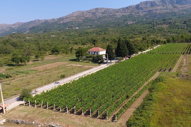 PRIVATE Wine Tour to Konavle country side - Extra Views and Stops With Dino
