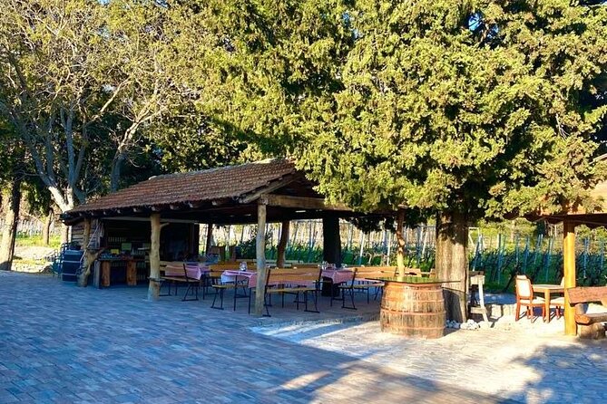 PRIVATE Wine Tour to Konavle country side - The Guides Make a Noticeable Difference