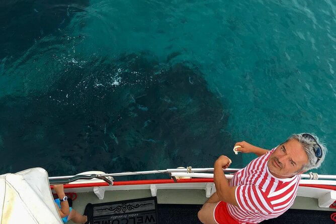 PUBLIC 5h Plavnik Island swimming & snorkeling Half-day Boat trip - Wildlife watching on Plavnik’s quieter side