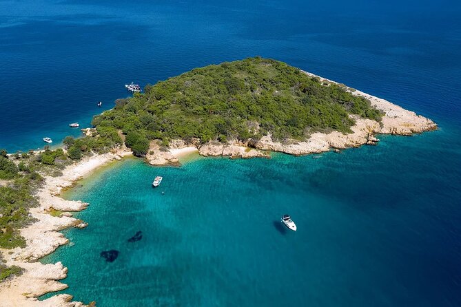 PUBLIC 5h Plavnik Island swimming & snorkeling Half-day Boat trip - Who should book this Plavnik outing