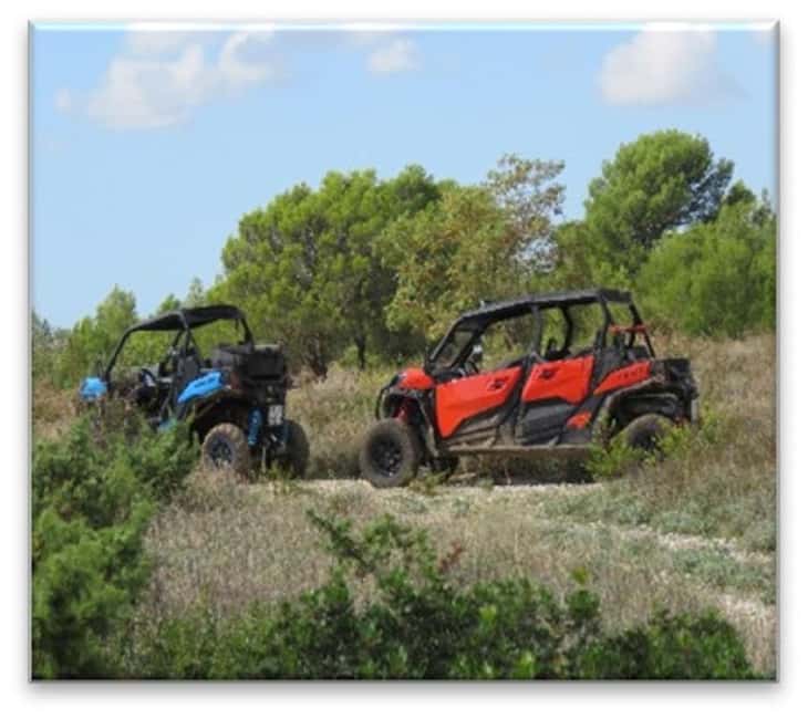 PULA AND ROVINJ: BUGGY FAMILY SAFARI 1, 2 & 4 H - The one-hour Rovinj route: a quick view of Lim Bay