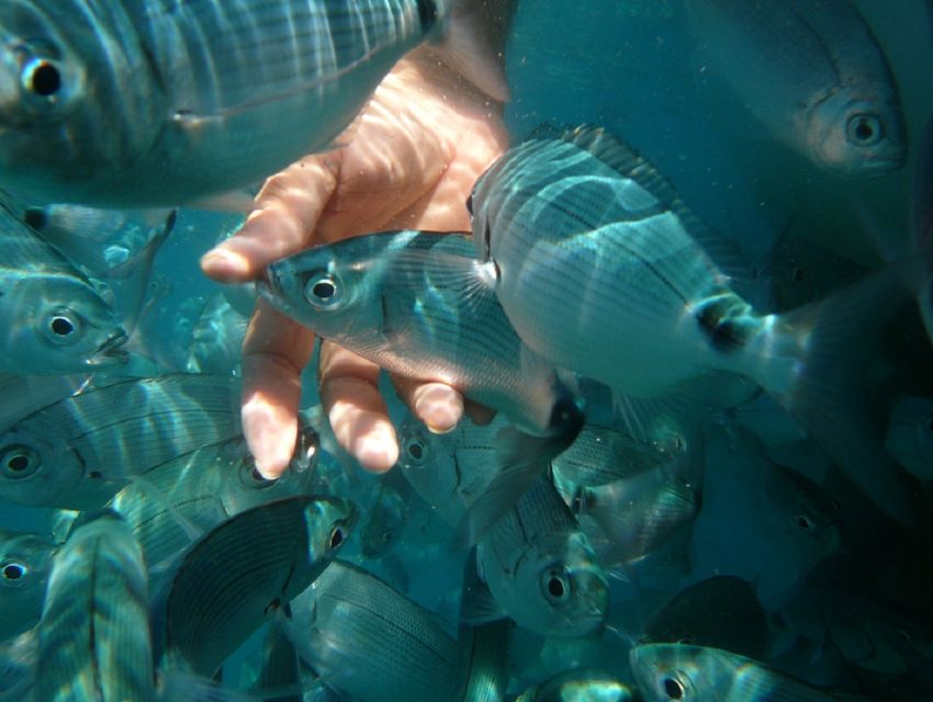 Pula: Bike Tour of Ancient Pula & Aquatic Adventures - How much riding and swimming should you expect?