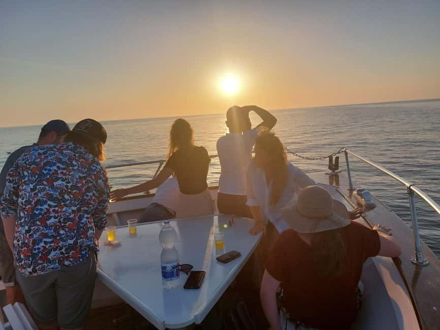 Pula: Brijuni National Park Dolphin Watching Tour w/Dinner - Waiting for dolphins in the wild