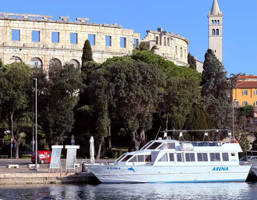 Pula: Brijuni National Park Dolphin Watching Tour w/Dinner - Sunset, city lights, and the ride home