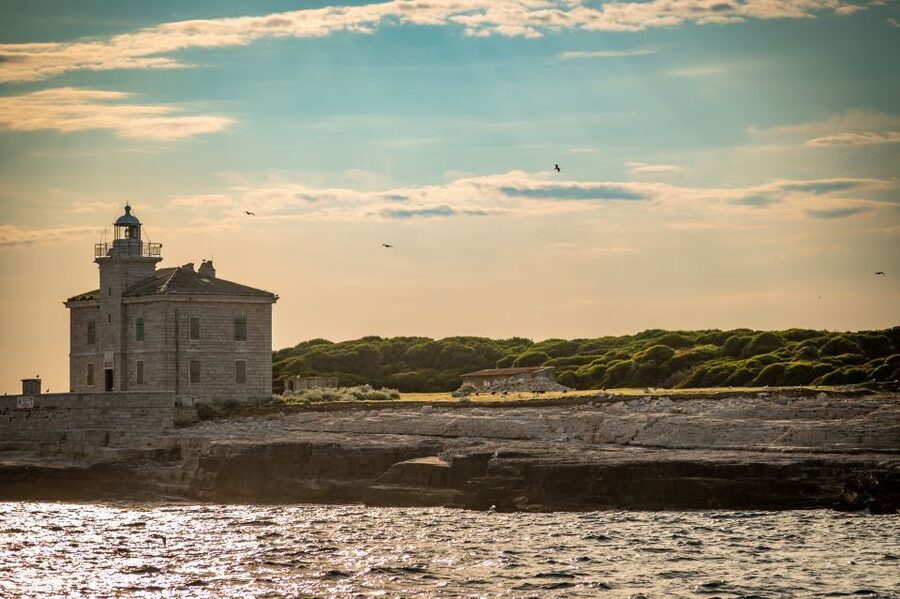 Pula: Brijuni National Park Sunset, Dolphins & Dinner Cruise - What the $64 price really covers