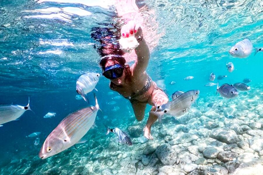 Pula: Brijuni National Park Tour with Island Visit - Who will enjoy this five-hour outing