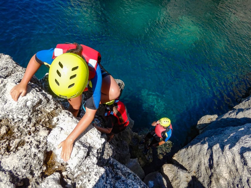 Pula: Coasteering Adventure with Guide and Photos - Meeting the small creatures of the intertidal zone