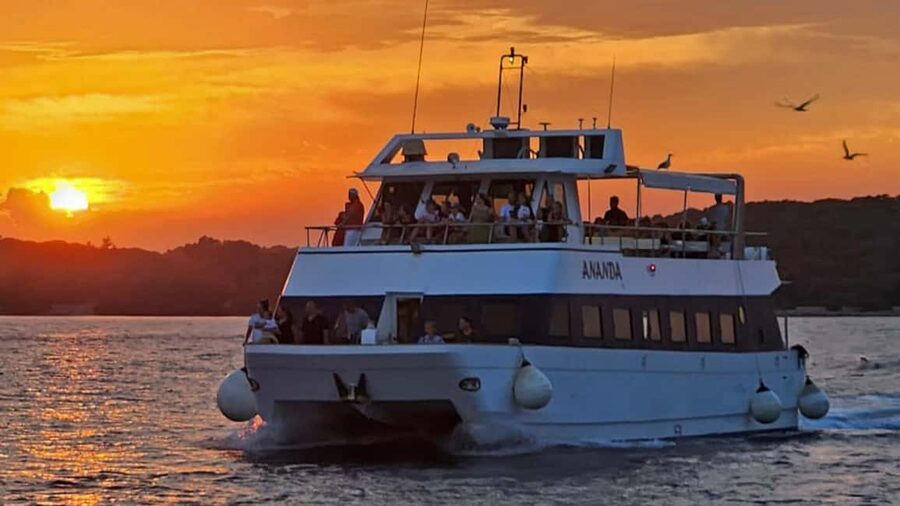 Pula: Dolphin Sunset Cruise to Brijuni with Dinner & Drinks - From Pula Arena to the Ananda catamaran