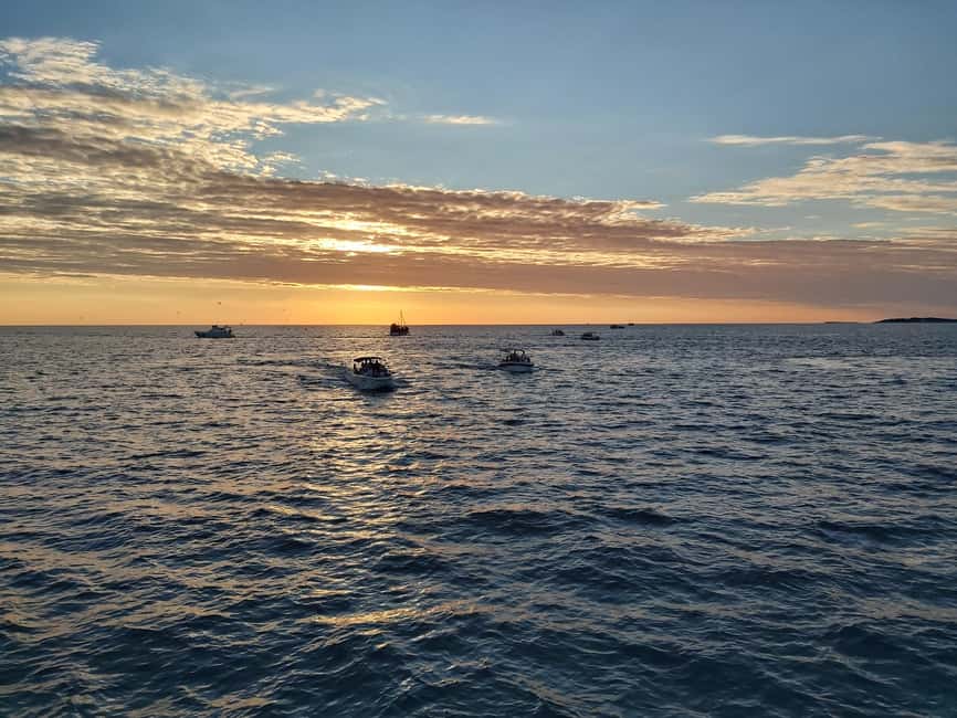 Pula: Dolphin Sunset Cruise to Brijuni with Dinner & Drinks - Sailing toward Brijuni National Park