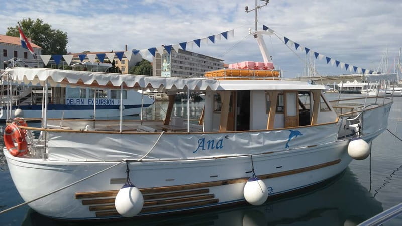 Pula: Dolphin-Watching Cruise at Sunset with Dinner & Drinks - Waiting for Dolphins in the Evening Feeding Area