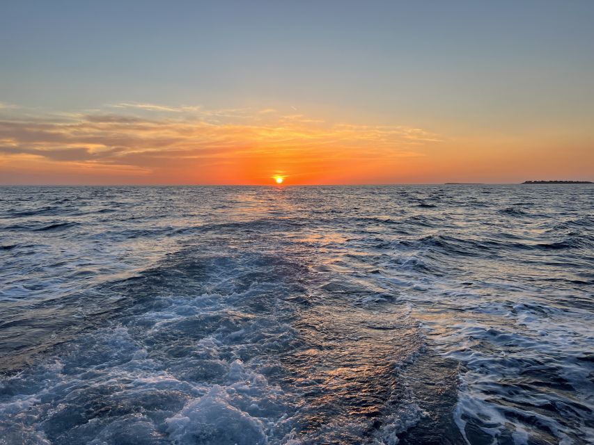 Pula: Dolphin Watching Sunset Cruise with Dinner & Drinks - Searching for dolphins near Brijuni National Park