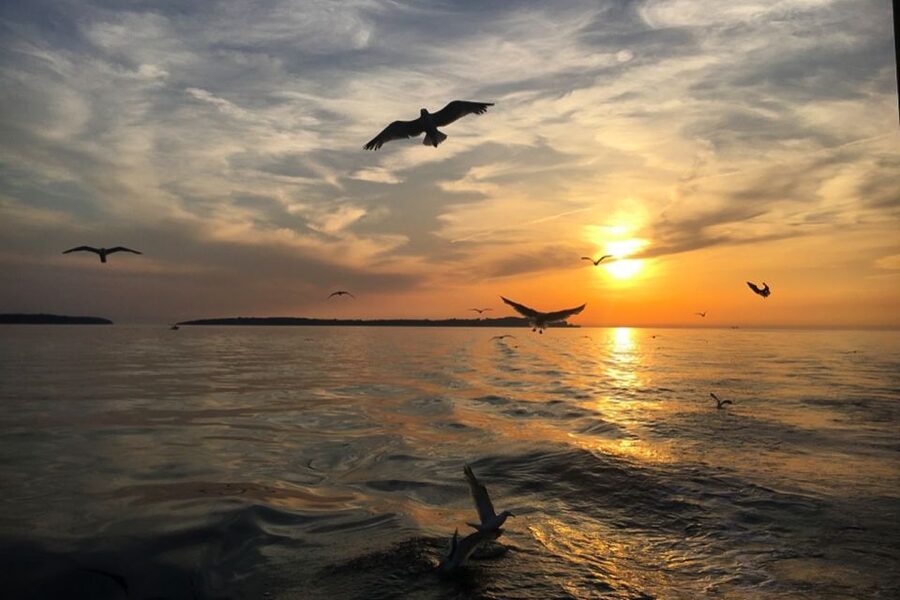 Pula: Dolphin Watching Sunset Cruise with Dinner & Drinks - Sunset and the return to Pula