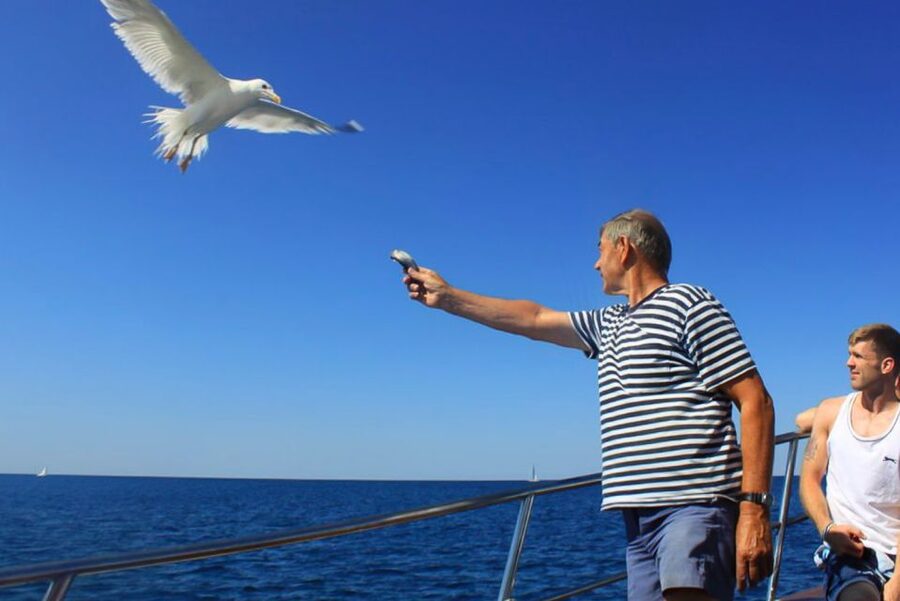 Pula: Dolphin Watching Sunset Cruise with Dinner & Drinks - Boarding Ariete in Pula harbor