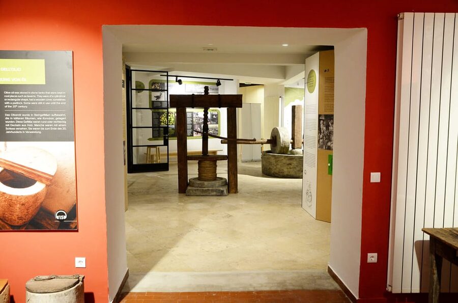 Pula: House of Istrian Olive Oil Museum and Guided Tasting - Learning to judge oil with your senses