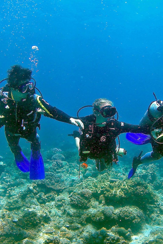 Pula: Introduction to Scuba Diving - Should you book the Pula introductory scuba course?