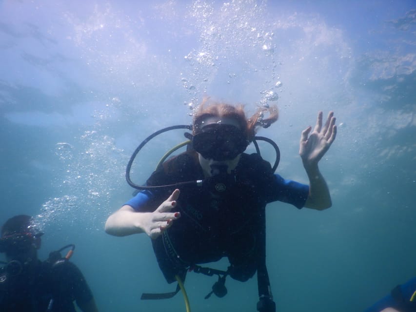 Pula: Introduction to Scuba Diving - Who will enjoy this most