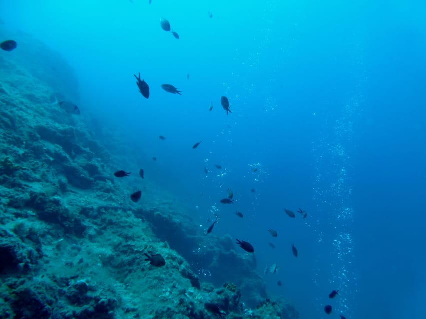 Pula: Introduction to Scuba Diving - Practical advice for a smoother session