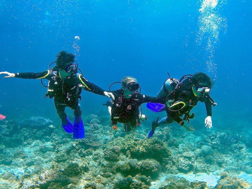 Pula: Introduction to Scuba Diving - Entering the Adriatic slowly, not all at once