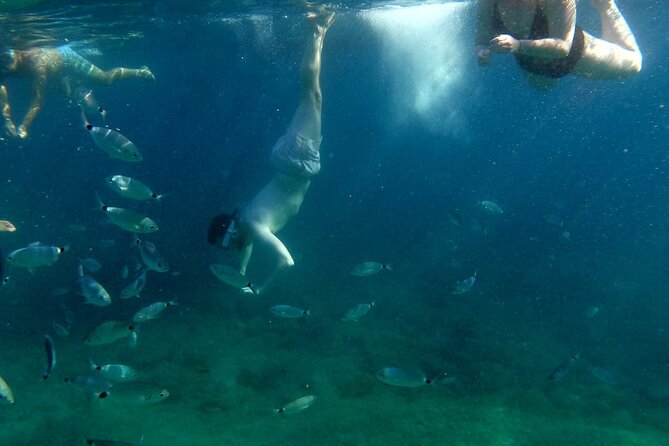Pula:Kayak Tour-Cliff jumping,snorkeling&free GoPro pictures - Paddling into Sea Canyon