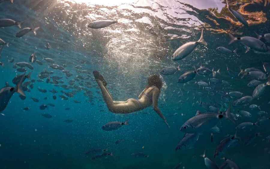 Pula: Kayaking,Snorkeling, Cliff jumping Tour with Wetsuit - The $57 question: good value or not?