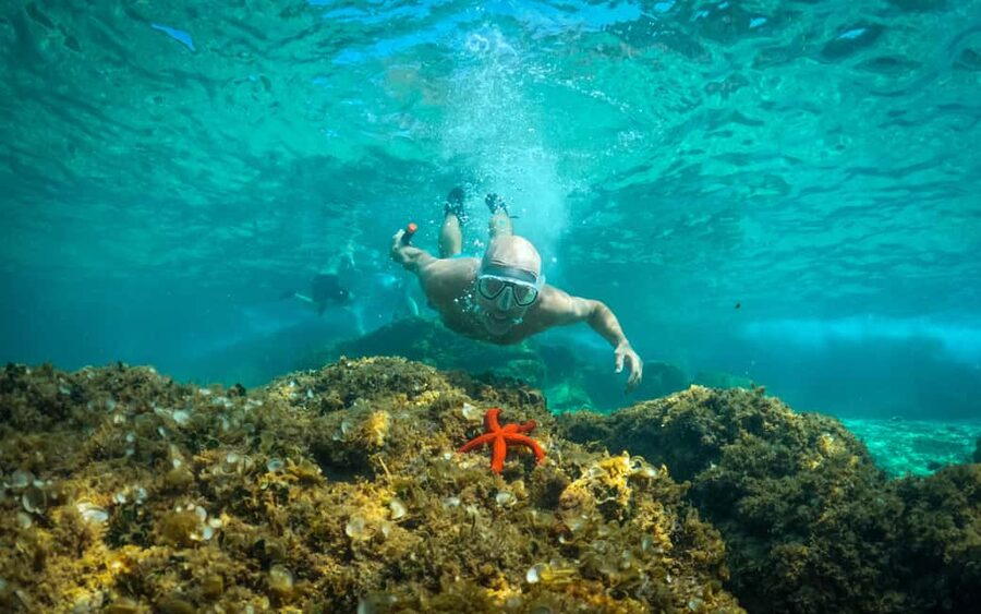 Pula: Kayaking,Snorkeling, Cliff jumping Tour with Wetsuit - Paddling out from Zelenika Beach