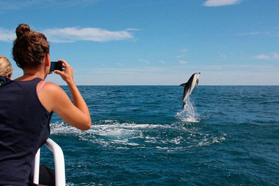 Pula: National Park Brijuni Dolphin Cruise with Dinner - Key points to know before booking