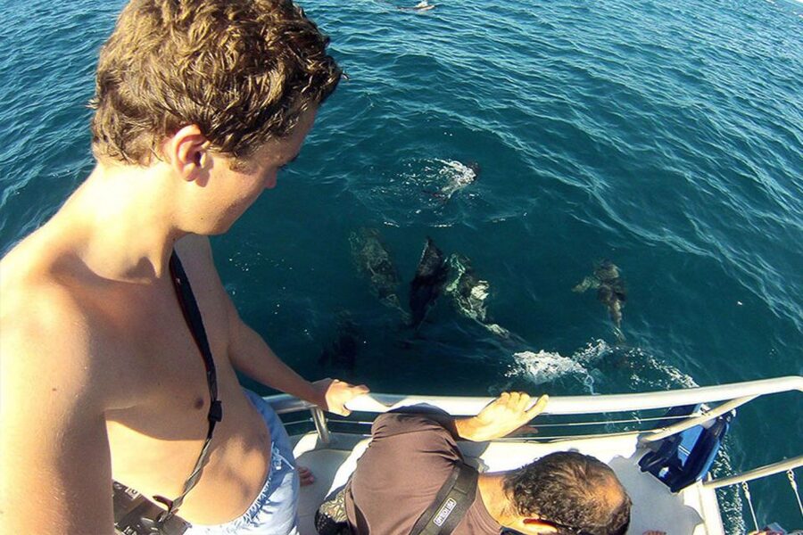 Pula: National Park Brijuni Dolphin Cruise with Dinner - Dinner Under the Open Sky