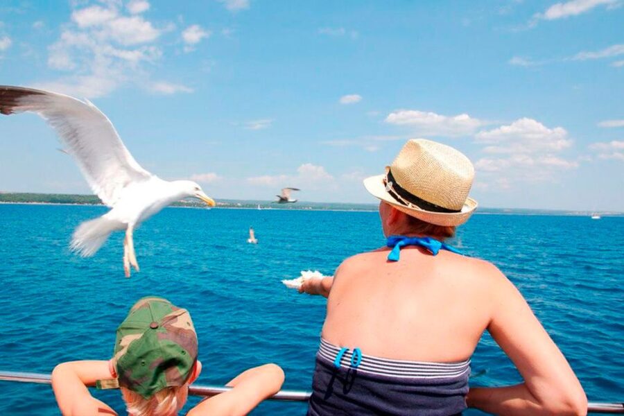 Pula: National Park Brijuni Island Visit & Dolphin Cruise - Who will enjoy this Brijuni cruise most?