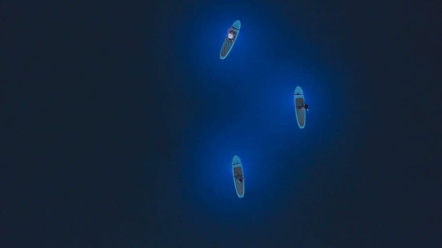 Pula: Night LED Stand-Up Paddle Board Tour - Practical timing, weather, and cancellation