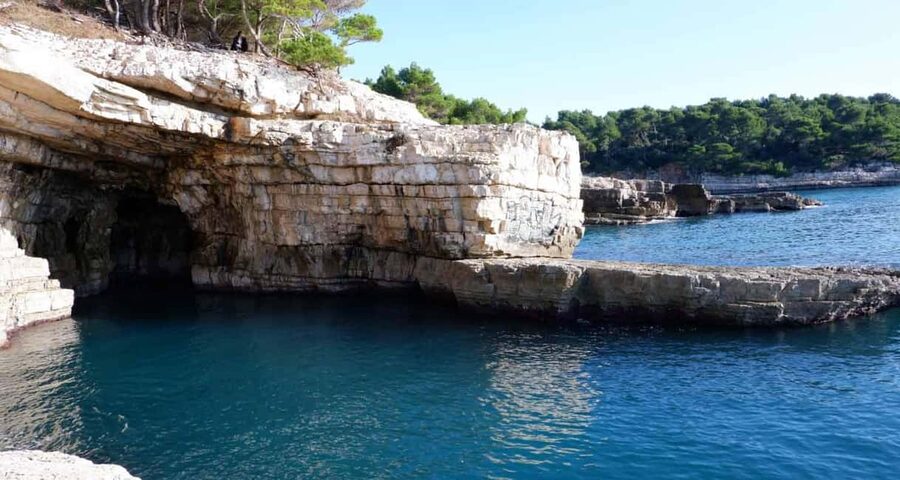 Pula: Private Brijuni Tour With Swimming, Dinner & Drinks - Drinks, shade, and the family-run atmosphere