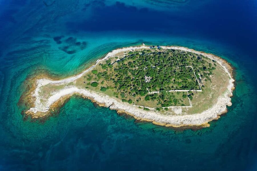 Pula: Private Brijuni Tour With Swimming, Dinner & Drinks - How the private format changes the value