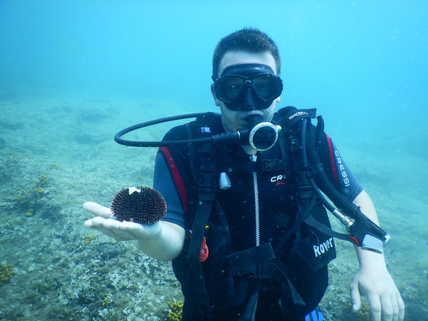 Pula: Private Introduction to Scuba Diving - Seeing Pula from below the surface