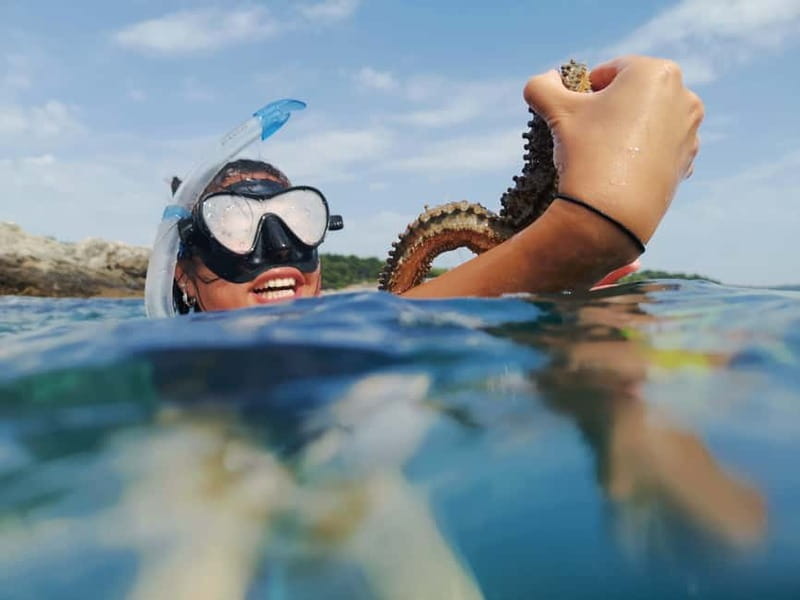 Pula: Sea Adventure – Boat, Kayak, Snorkeling & Cliff Jumps - Why this Pula boat and kayak tour works so well