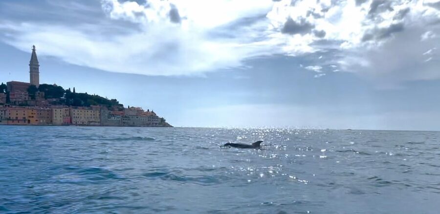 Rovinj: BUBA SUNSET KAYAK, snorkeling&driknks incuded - A Walk on Sveta Katarina Island