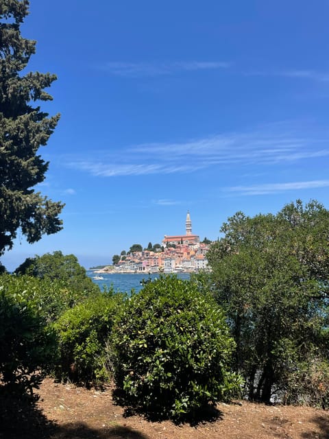 Rovinj: BUBA SUNSET KAYAK, snorkeling&driknks incuded - What the $47 Price Covers