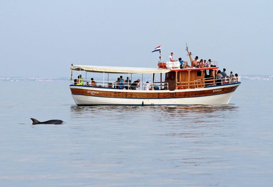 Rovinj half-day cruise: swim stops, drinks & brunch included - Weather and cancellation considerations