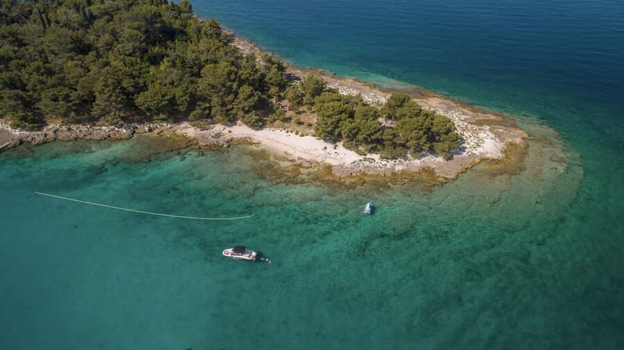 Rovinj or Vrsar: Lim Fjord & Rovinj islands Speedboat Tour - Katarina Island and optional cliff jumping